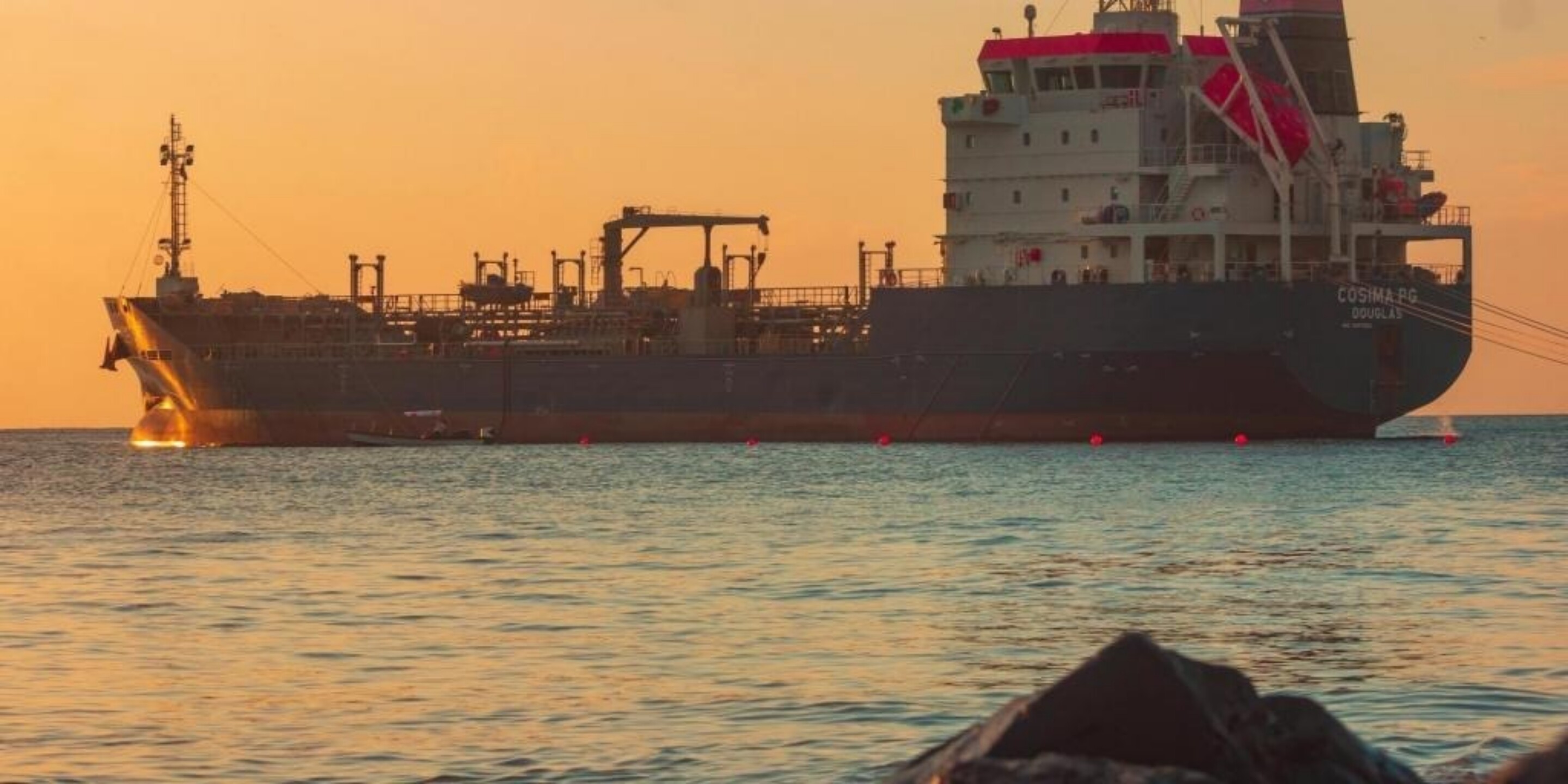 Imgi 19 pexels gisle px 15647002