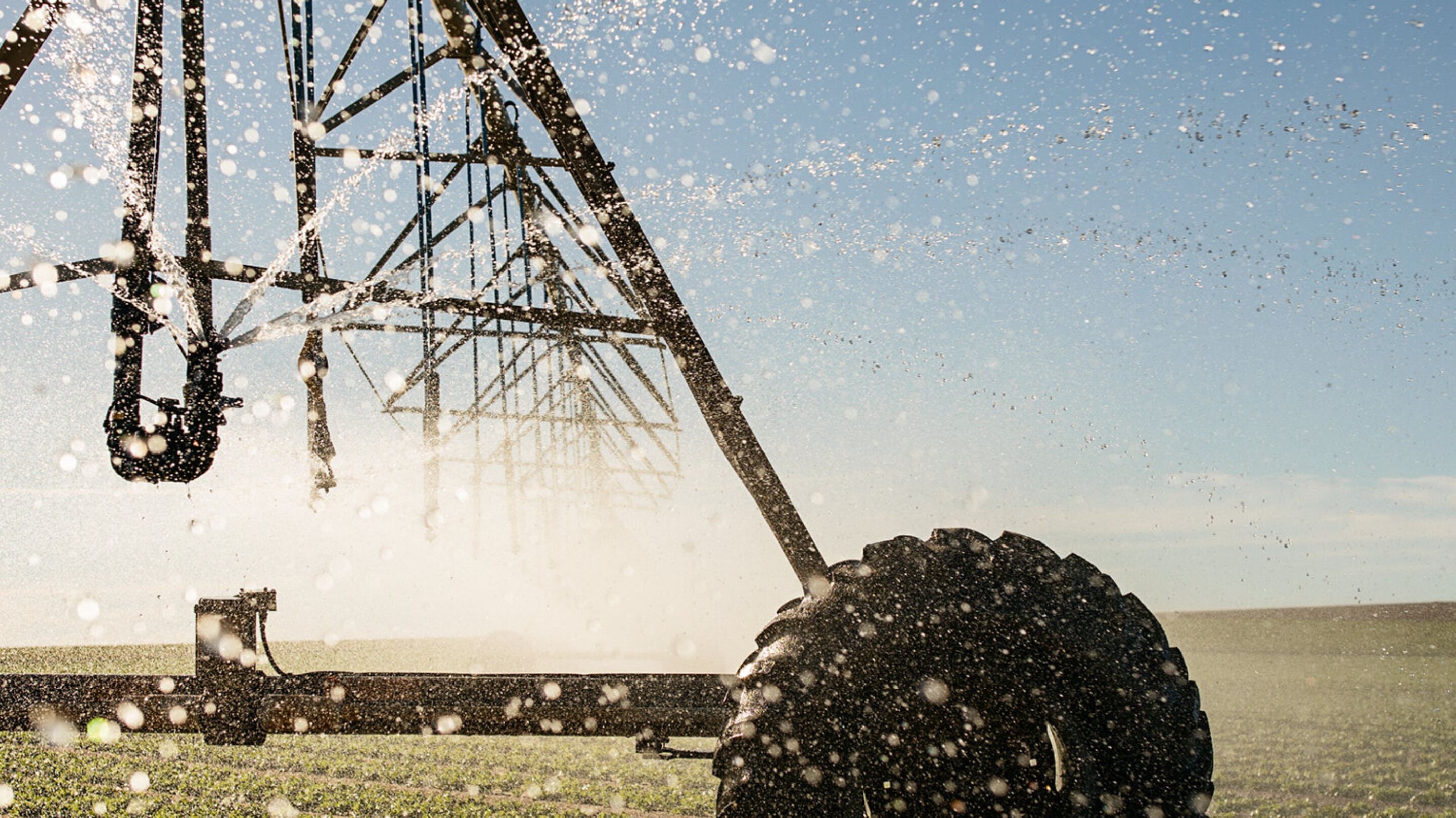 5a0701072d58d0d831bfee8f0edbc6f58cdaad44