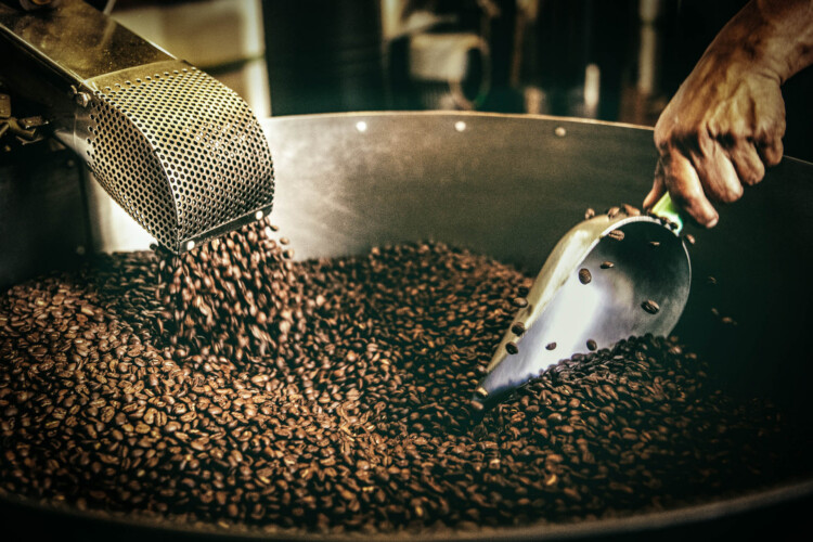 Tim mossholder YC6 R Vdo Tt Ik unsplash